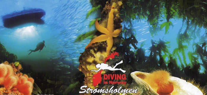 Diving in Norway – Strømsholmen